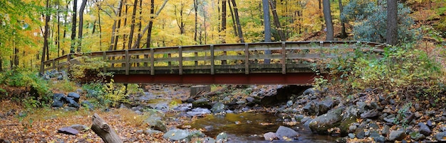 Panorama del puente de madera de otoño