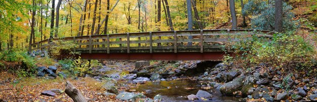 Panorama del puente de madera de otoño