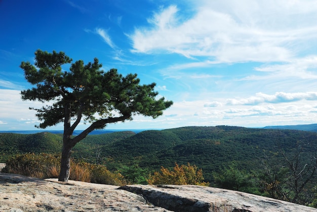 Panorama de vista de pico de montaña de otoño