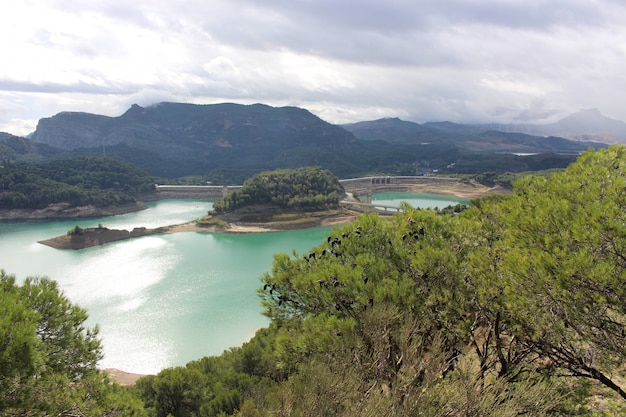 Pantano en un día nublado