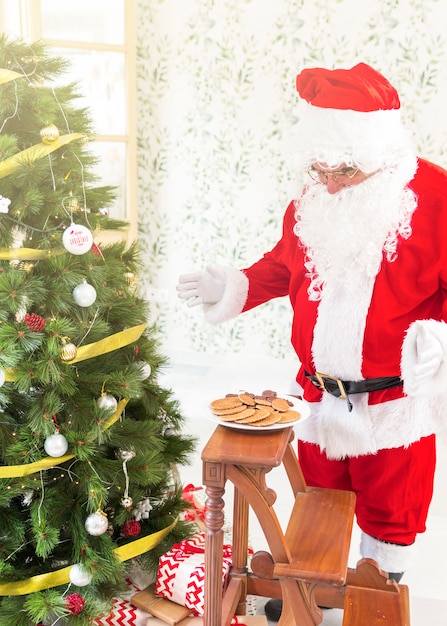 Papá Noel mirando las galletas