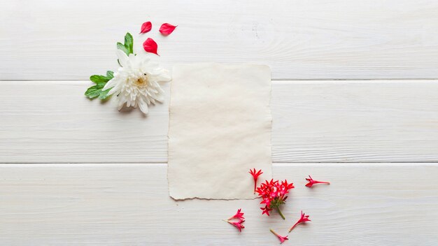 Papel arreglado con flores suaves