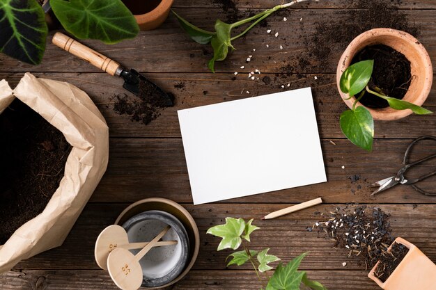 Papel en blanco en el fondo de jardinería de plantas de interior