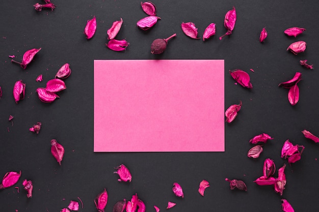 Papel en blanco con pétalos de flores en la mesa