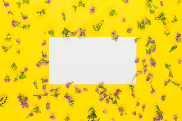 Papel blanco rectangular en blanco alrededor de las flores púrpuras sobre fondo amarillo