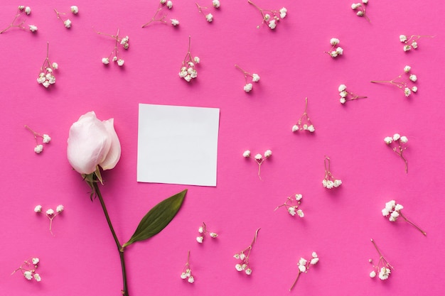 Papel en blanco con rosa y ramas de flores