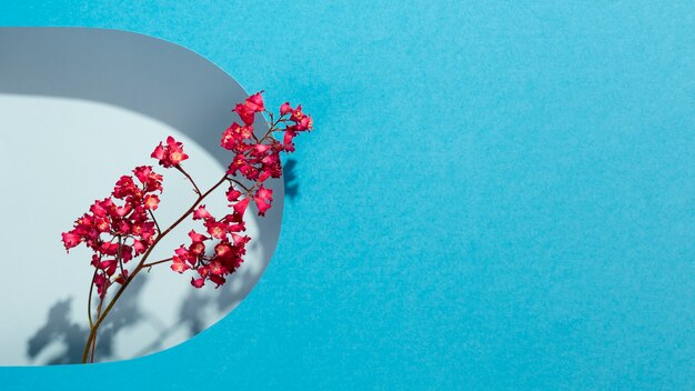 Papel pintado de primavera con flor y pared azul.