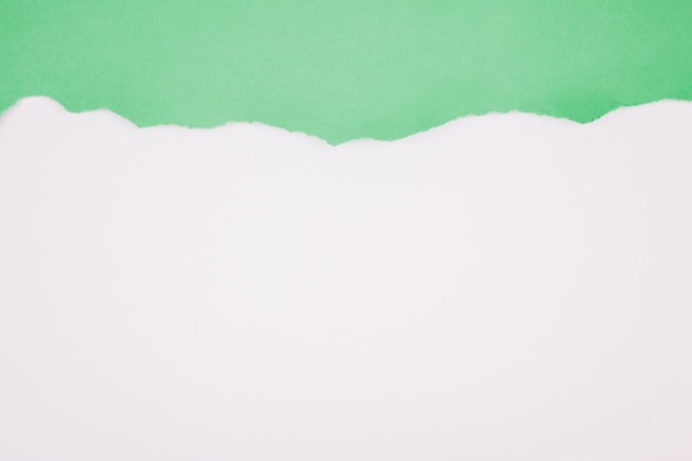 Papel raído verde sobre blanco