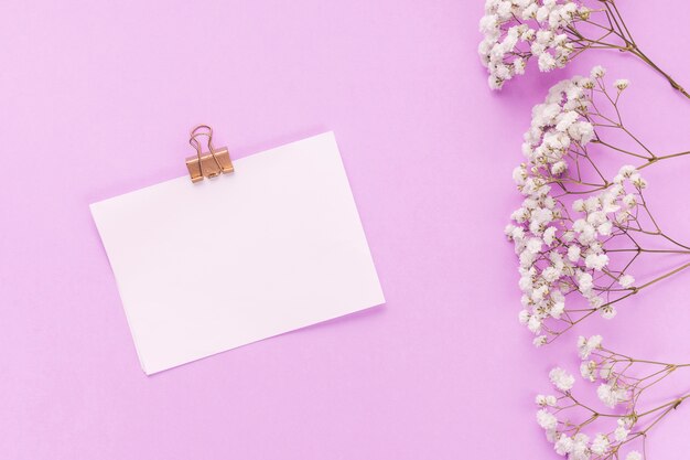 Papel con ramas de flores en mesa rosa