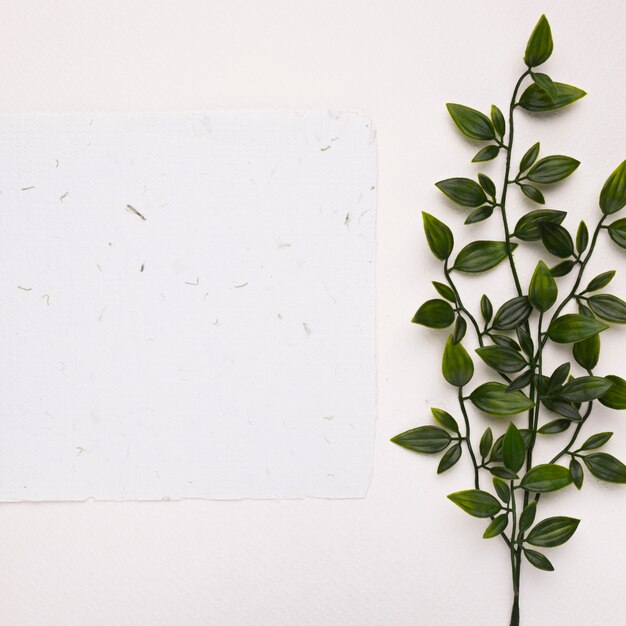 Papel con textura blanca cerca de las ramitas verdes artificiales con hojas sobre fondo blanco