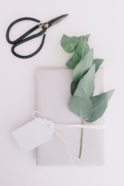 Paquete de regalo con etiqueta en blanco y hojas verdes aisladas sobre fondo blanco