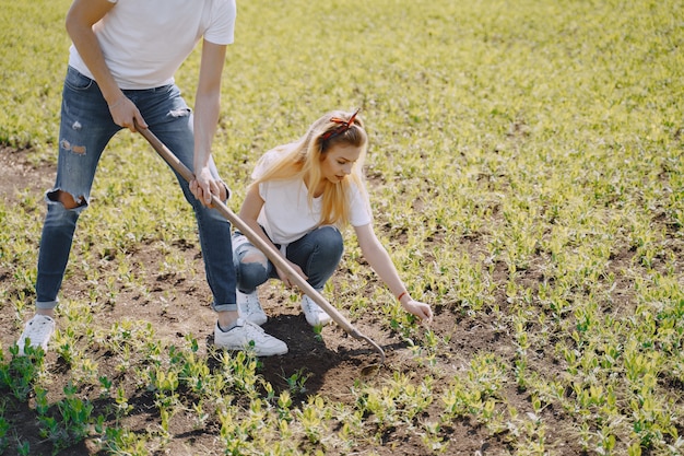 Foto gratuita par la agricultura en el campo agrícola