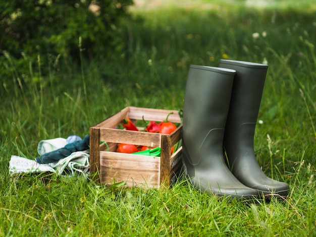 Par de botas altas de goma cerca de la caja de verduras en el césped