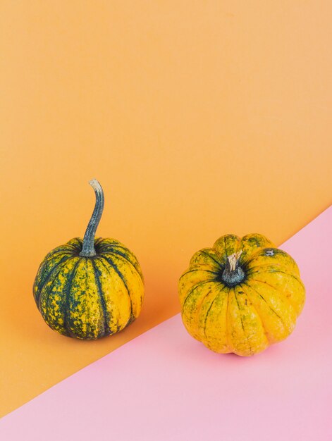 Un par de calabazas pequeñas sobre fondo amarillo y rosa