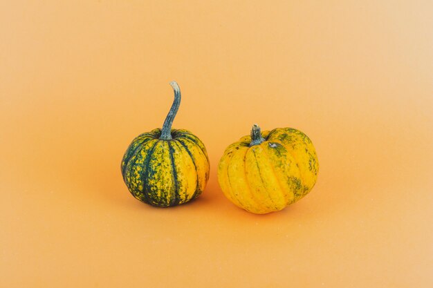 Un par de calabazas pequeñas sobre fondo amarillo