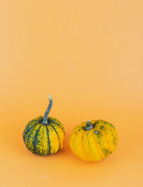 Un par de calabazas pequeñas sobre fondo amarillo