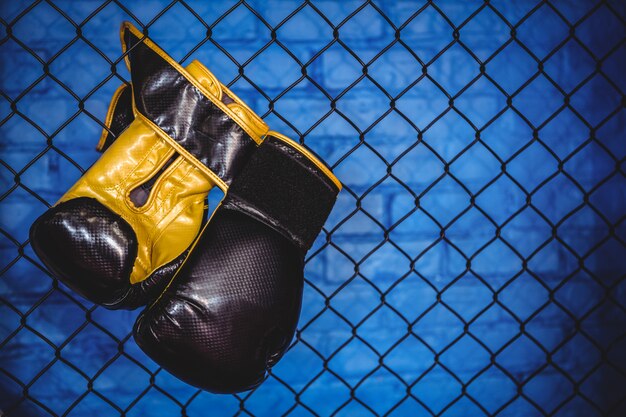 Par de guantes de boxeo colgados en la cerca de malla de alambre