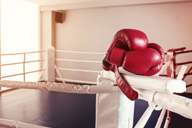 Foto gratuita un par de guantes de boxeo rojos cuelga del anillo