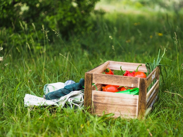 Par de guantes y caja de verduras en la hierba verde