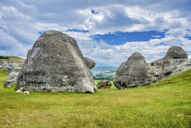 Par de ovejas cerca de formaciones rocosas en pastizales en la cuenca de Waitaki cerca de Oamaru en Nueva Zelanda