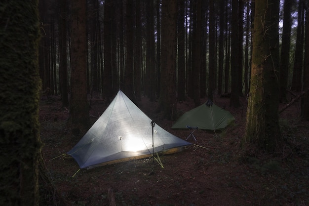 Foto gratuita par de tiendas de campaña montadas en medio del bosque