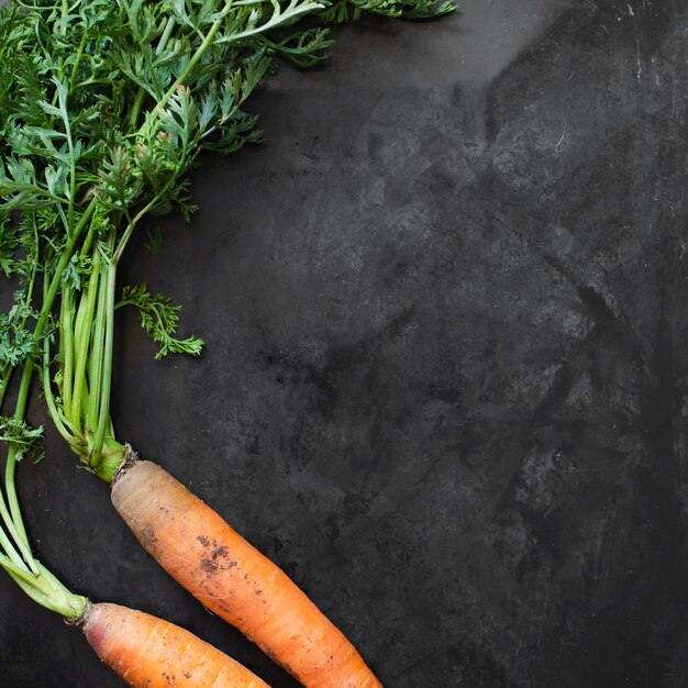 Par de zanahorias con espacio de copia