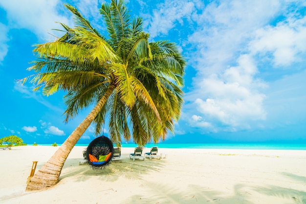 paraíso de la naturaleza del paisaje del Caribe maldivas