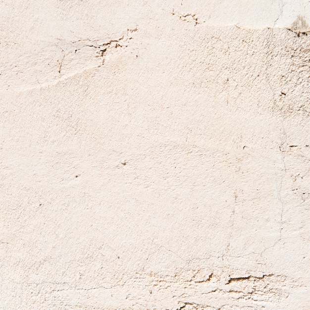 Pared áspera. Textura del fondo.