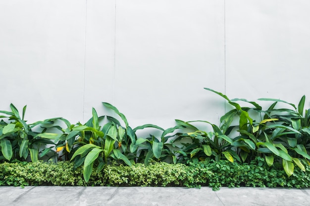 Foto gratuita pared blanca con hoja de árbol en la pared.