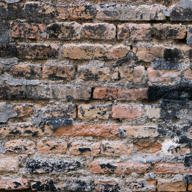 Pared de ladrillo áspero y sucio