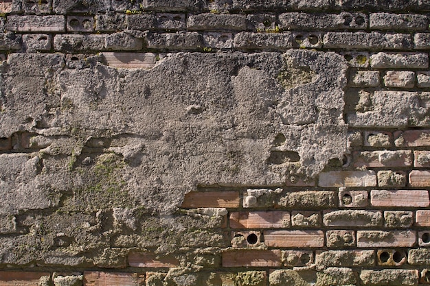 Pared de ladrillo en el cemento