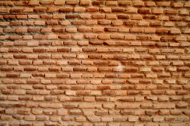 Pared de ladrillo