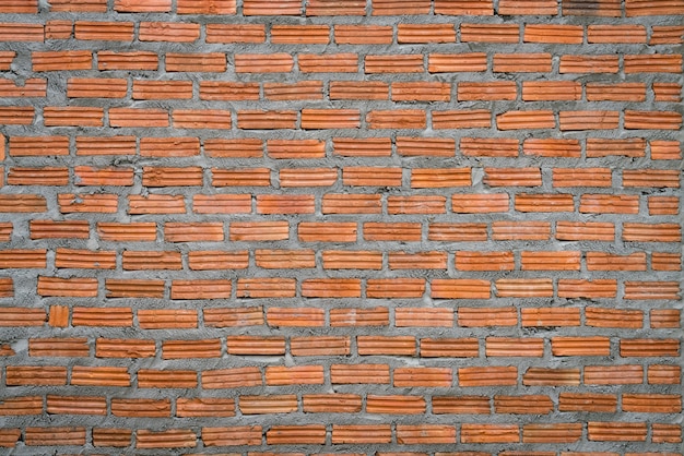 Pared de ladrillos con cemento fresco