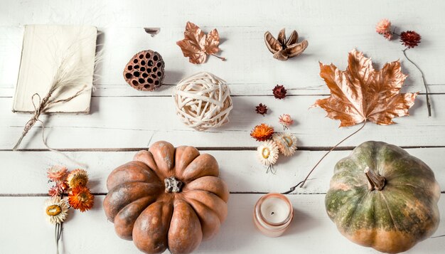 Pared de otoño con diferentes objetos y calabaza. Lay-lay.