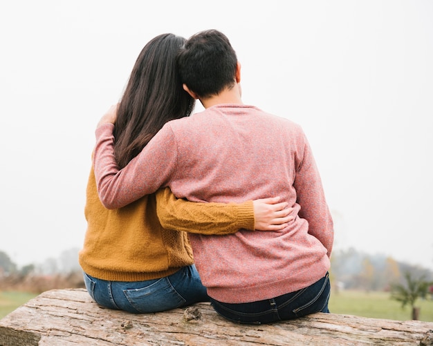 Pareja amorosa sentado en el registro y abrazos