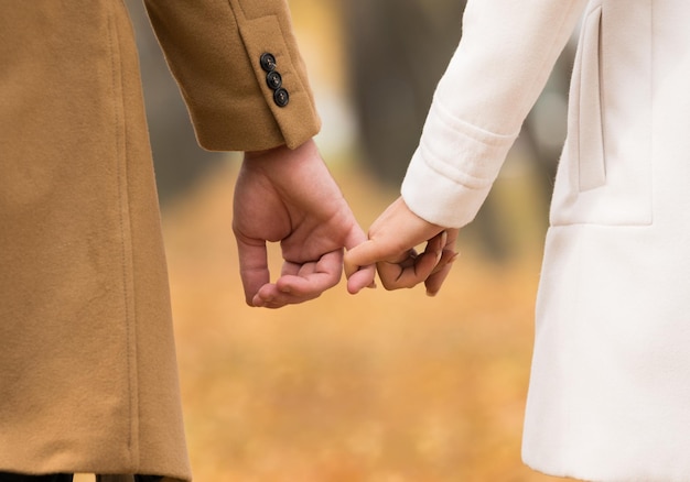 Pareja amorosa tomados de la mano en el bosque - el concepto de amor