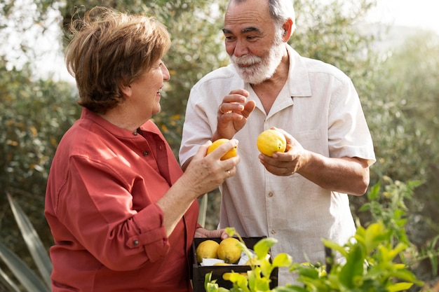 Pareja de ancianos recogiendo verduras de su jardín en el campo