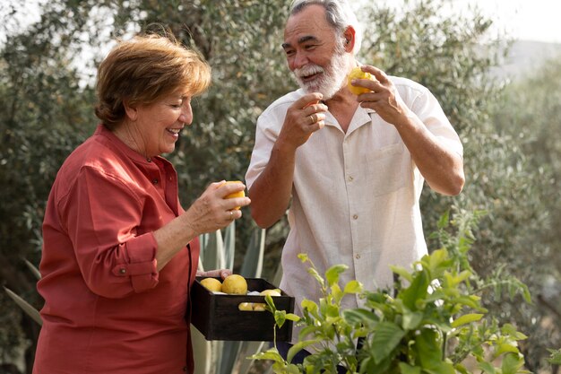 Pareja de ancianos recogiendo verduras de su jardín en el campo