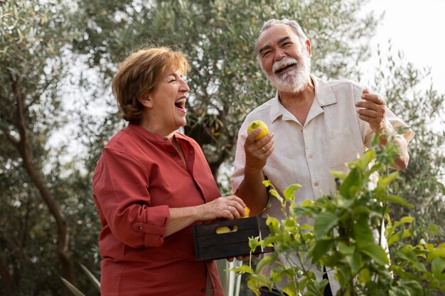 Pareja de ancianos recogiendo verduras de su jardín en el campo