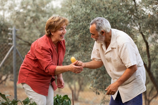 Pareja de ancianos recogiendo verduras de su jardín en el campo