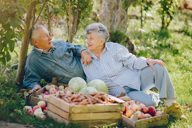 Pareja de ancianos sentados en un jardín de verano con cosecha