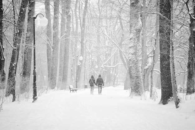 Pareja caminando por el camino cubierto de nieve bajo la nieve intensa