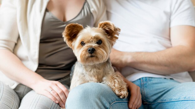 Pareja casada y su perro