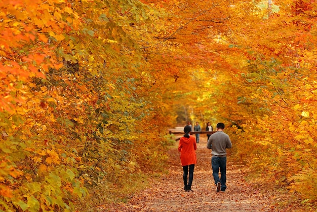 Pareja en coloridos bosques con follaje otoñal en Vermont