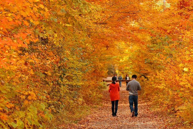 Pareja en coloridos bosques con follaje otoñal en Vermont