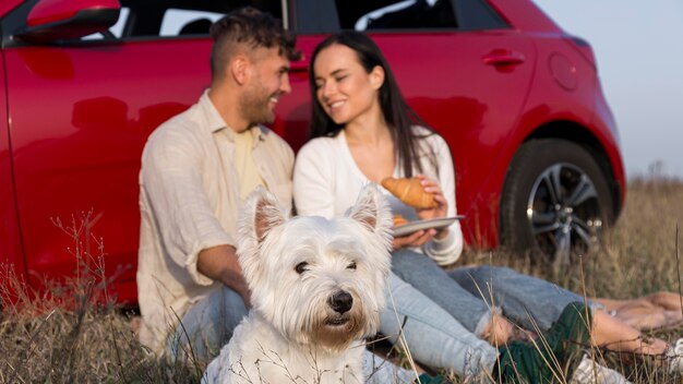 Pareja, comida, aire libre, con, perro