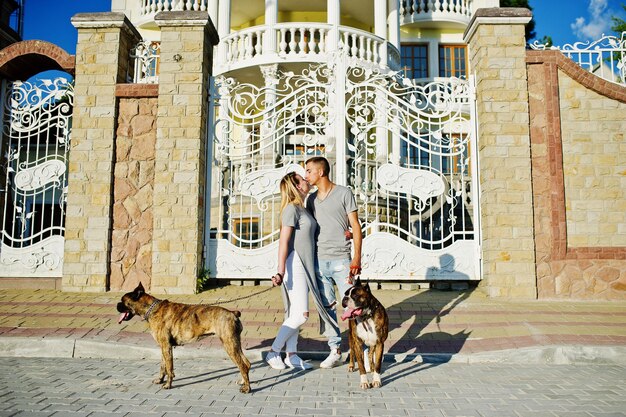 Pareja enamorada de dos perros pit bull terrier en un paseo