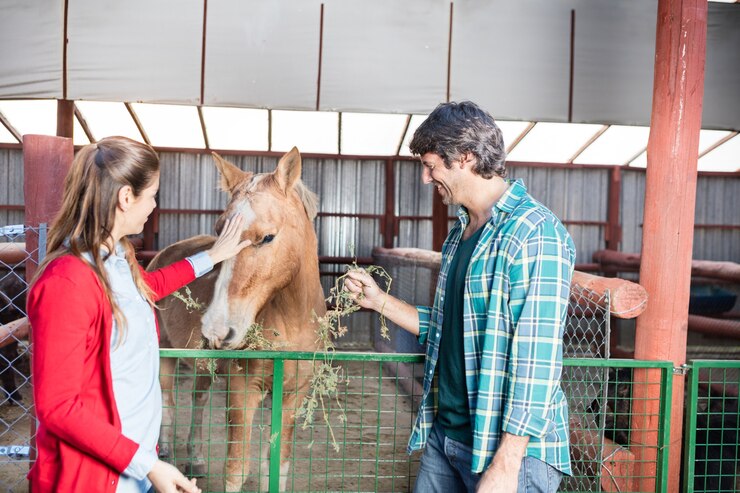 Foto gratuito pareja feliz con un caballo
