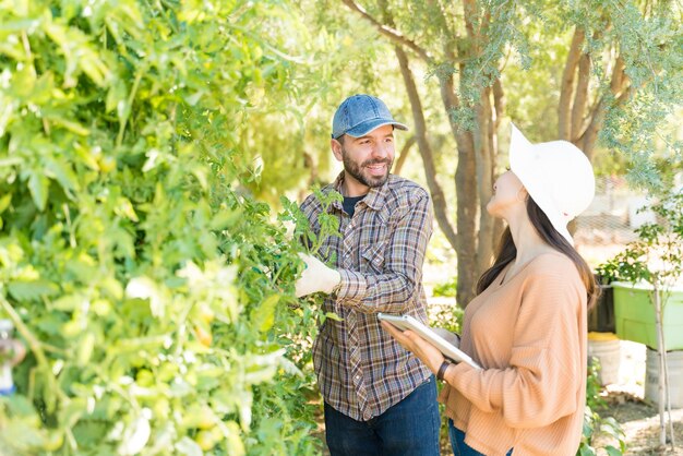 Pareja hablando mientras examina las plantas con tableta digital en el huerto