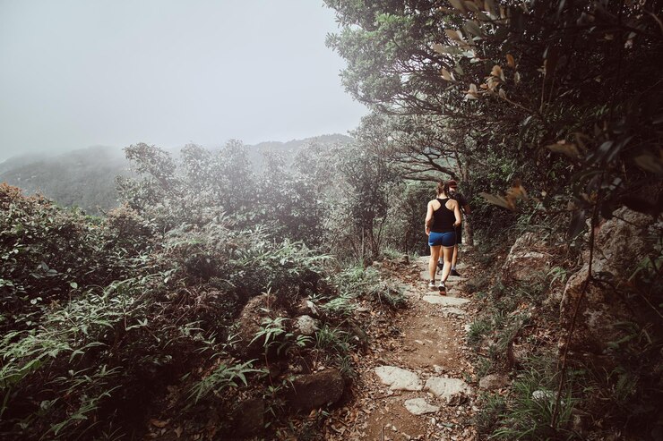 Foto gratuito una pareja joven corre por el camino en las montañas boscosas. hay matorrales verdes y árboles alrededor. niebla y nubes en el fondo.